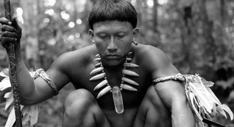 Featured image for “Embrace of the Serpent”